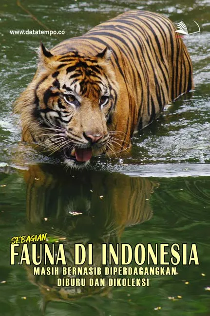 Sebagian Fauna di Indonesia Masih Bernasib: Diperdagangkan, Diburu dan Dikoleksi