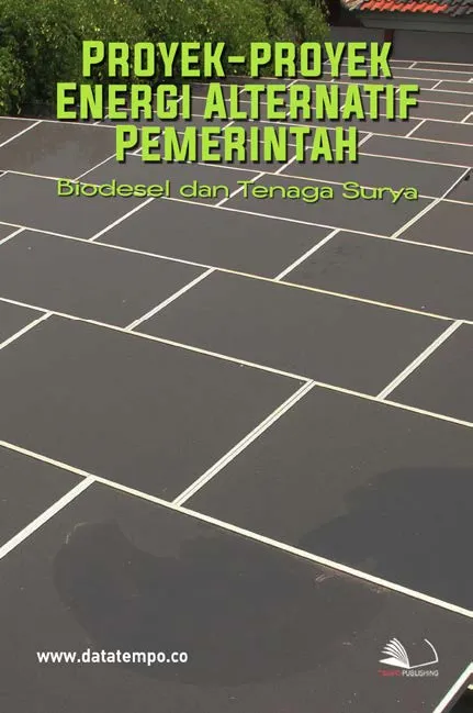 Proyek-proyek Energi Alternatif Pemerintah - Biodesel dan Tenaga Surya