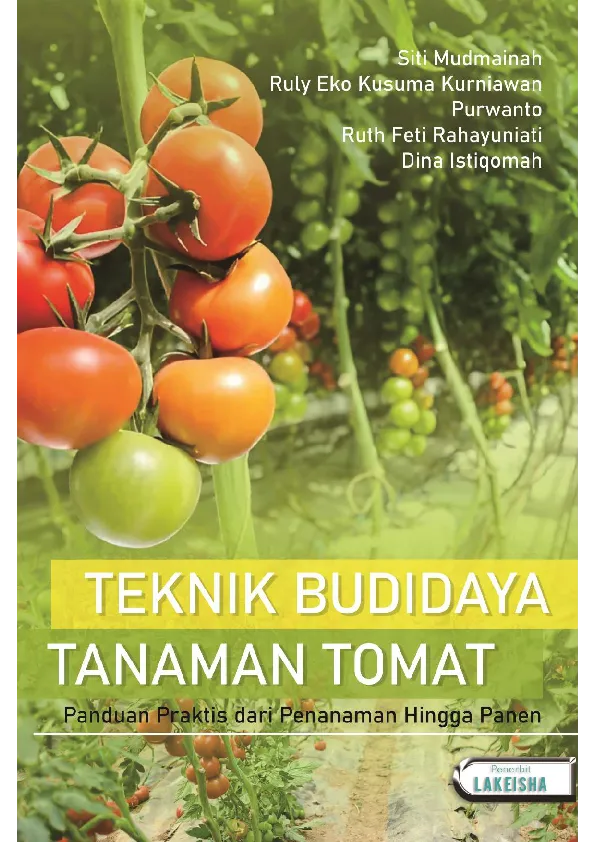 TEKNIK BUDIDAYA TANAMAN TOMAT Panduan Praktis dari Penanaman hingga Panen