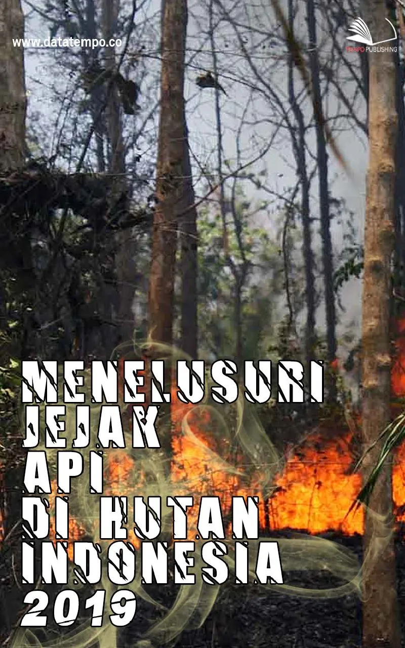 Menelusuri Jejak Api di Hutan Indonesia 2019