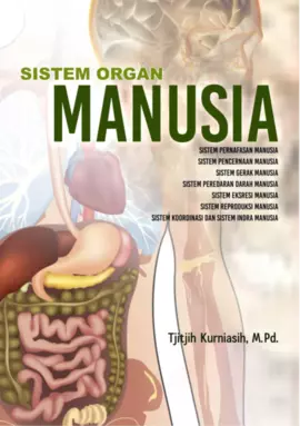 Sistem Organ Manusia