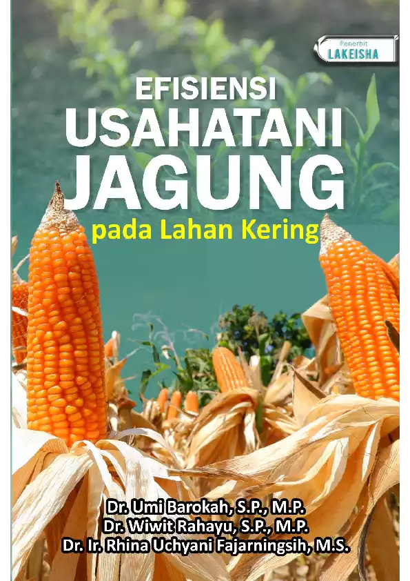 EFISIENSI USAHATANI JAGUNG PADA LAHAN KERING