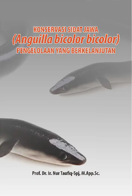 Konservasi sidat jawa (anguilla bicolor bicolor) : pengelolaan yang berkelanjutan