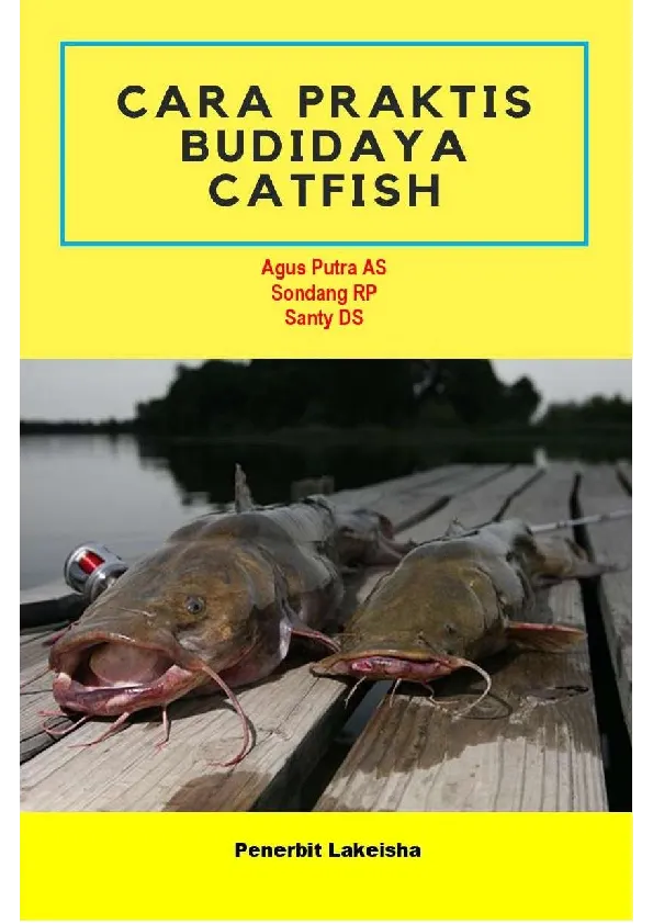 Cara Praktis Budidaya Catfish