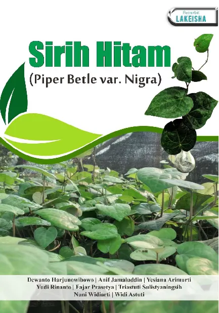 Sirih Hitam (Piper Betle var. Nigra)