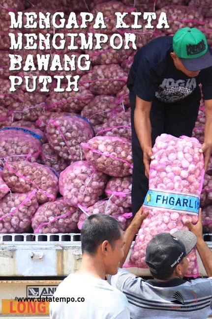 Mengapa Kita Mengimpor Bawang Putih
