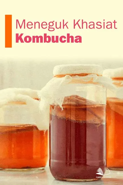 Meneguk Khasiat Kombucha