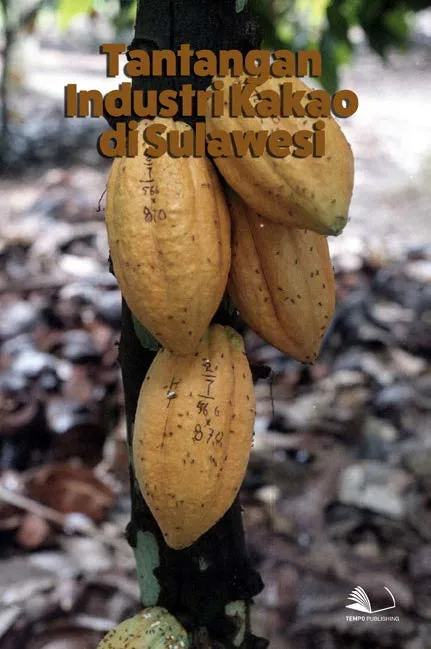 Tantangan Industri Kakao di Sulawesi