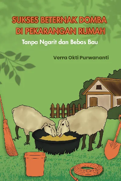 Sukses beternak domba di pekarangan rumah tanpa ngarit dan bebas bau