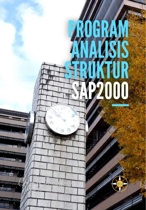 Program Analisis Struktur SAP2000