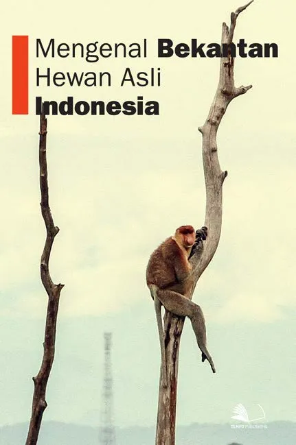 Mengenal Bekantan, Hewan Asli Indonesia