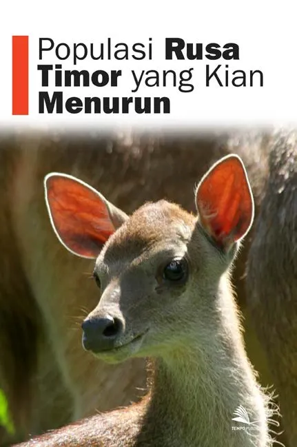 Populasi Rusa Timor yang Kian Menurun