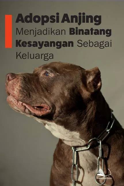 Adopsi Anjing, Menjadikan Binatang Kesayangan Sebagai Keluarga