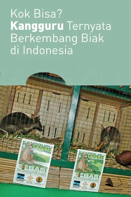 Kok Bisa? Kangguru Ternyata Berkembang Biak di Indonesia