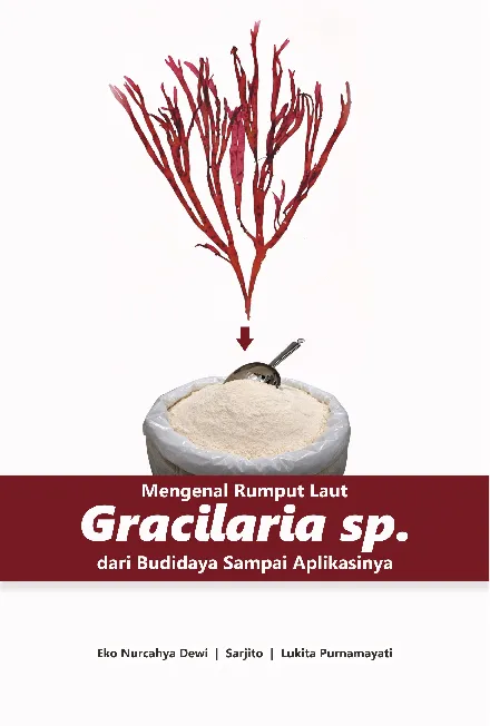 Mengenal Rumput Laut Gracilaria sp. dari Budidaya Sampai Aplikasinya