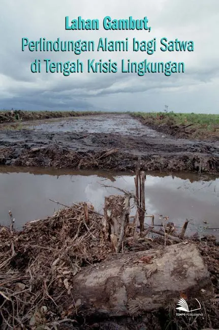 Lahan Gambut, Perlindungan Alami Bagi Satwa di Tengah Krisis Lingkungan