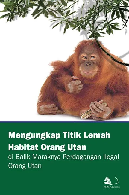 Mengungkap Titik Lemah Habitat Orang Utan di Balik Maraknya Perdagangan Ilegal Orang Utan