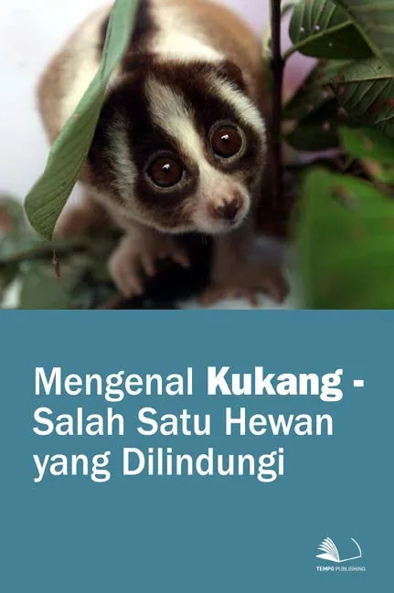 Mengenal Kukang - Salah Satu Hewan yang Dilindungi