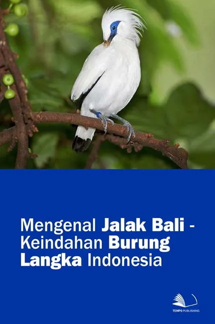 Mengenal Jalak Bali - Keindahan Burung Langka Indonesia