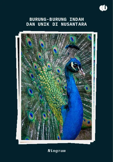 Burung-Burung Indah dan Unik di Nusantara