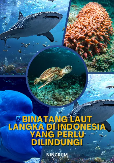Binatang Laut Langka di Indonesia yang Perlu Dilindungi