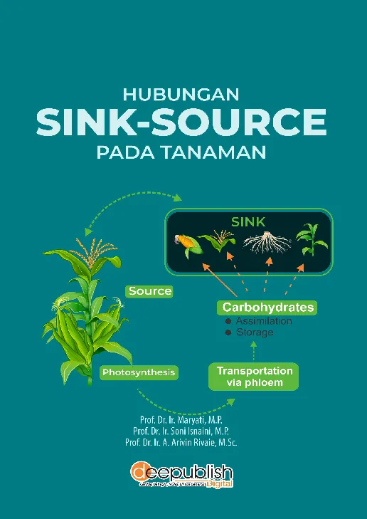 Hubungan Sink-Source pada Tanaman