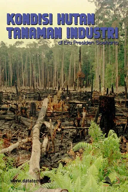Kondisi Hutan Tanaman Industri di Era Presiden Soeharto