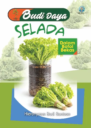 Budidaya selada dalam botol bekas