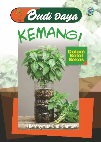 Budidaya kemangi dalam botol bekas