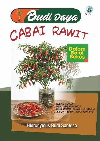 Budidaya cabai rawit dalam botol bekas