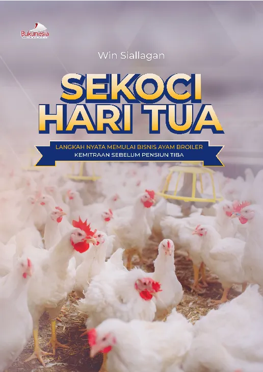 Sekoci Hari Tua: Langkah Nyata Memulai Bisnis Ayam Broiler Kemitraan Sebelum Pensiun Tiba