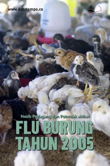 Nasib Pedagang dan Peternak Akibat Flu Burung Tahun 2005