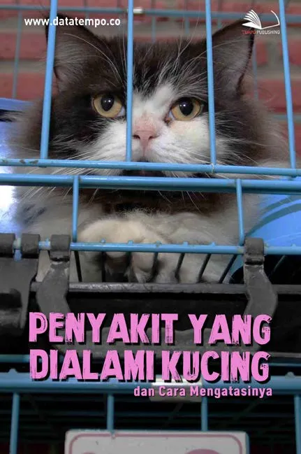 Penyakit yang Dialami Kucing dan Cara Mengatasinya