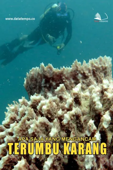 Apa Saja yang Mengancam Terumbu Karang