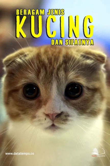 Beragam Jenis Kucing dan Sifatnya