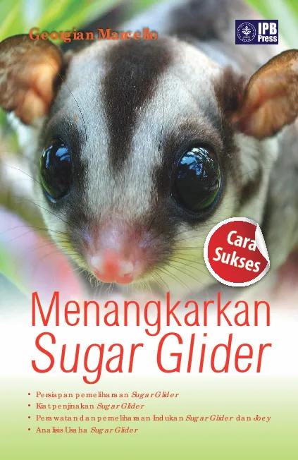 Cara Sukses Menangkarkan Sugar Glider