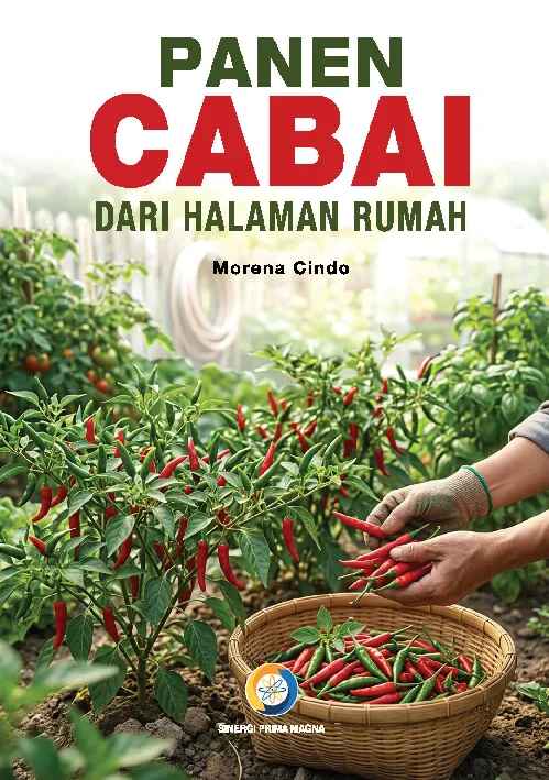 Panen Cabai Dari Halaman Rumah