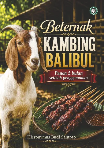 Beternak Kambing Balibul: Panen 5 bulan setelah penggemukan