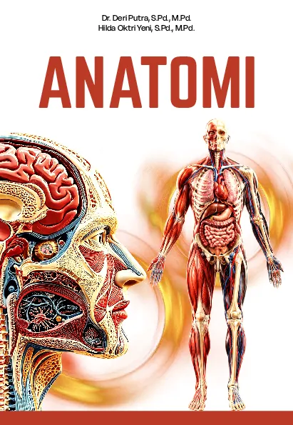 ANATOMI