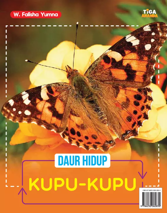 Daur Hidup Kupu-Kupu