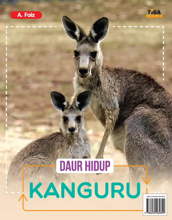 Daur Hidup Kanguru