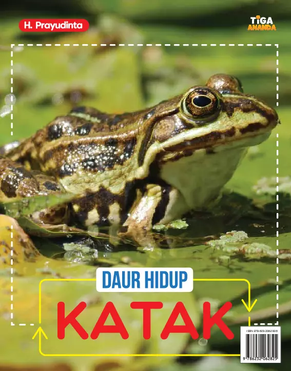 Daur Hidup Katak