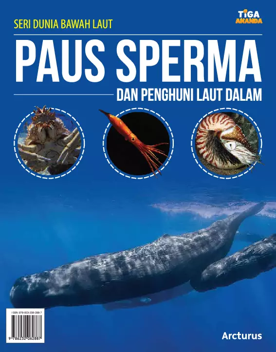 Seri Dunia Bawah Laut: Paus Sperma dan Penghuni Laut Dalam