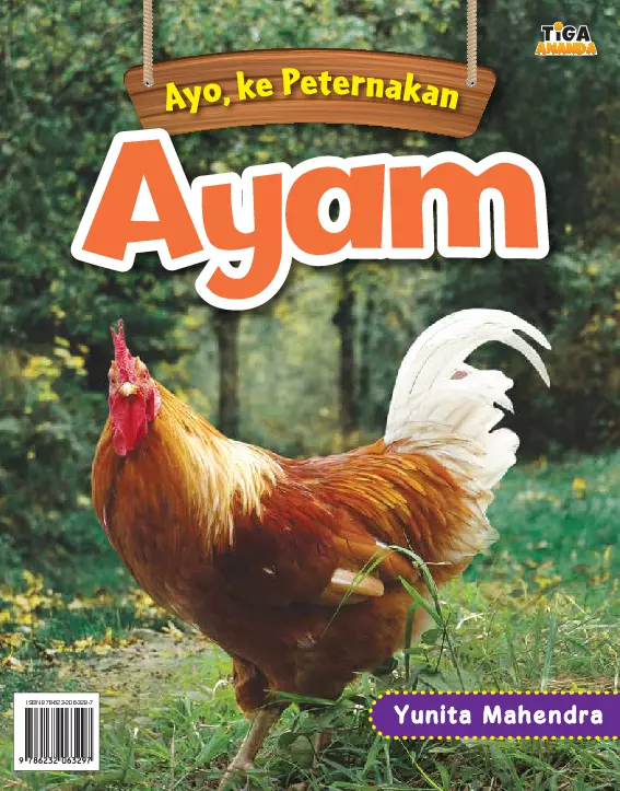 Ayo, ke Peternakan Ayam