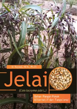 Jelai (Coix Lacryma-Jobi L.) Bahan Pangan Pokok Alternatif Dan Fungsional