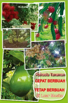 RAHASIA TANAMAN CEPAT BERBUAH & TETAP BERBUAH DI LUAR MUSIM