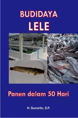 BUDIDAYA LELE, PANEN DALAM 50 HARI