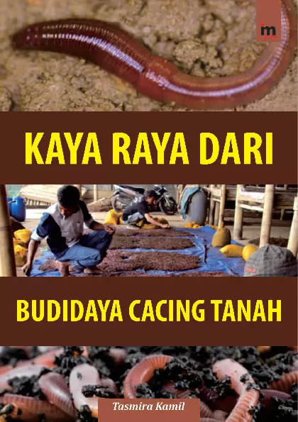 Kaya Raya dari Budidaya Cacing Tanah