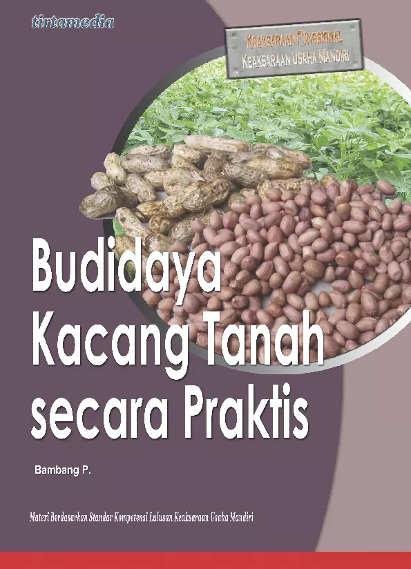 Budidaya Kacang Tanah Secara Praktis