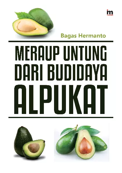 Meraup Untung Dari Budidaya Alpukat